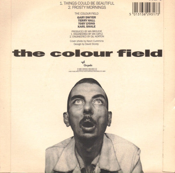 The Colourfield - Things Could Be Beautiful