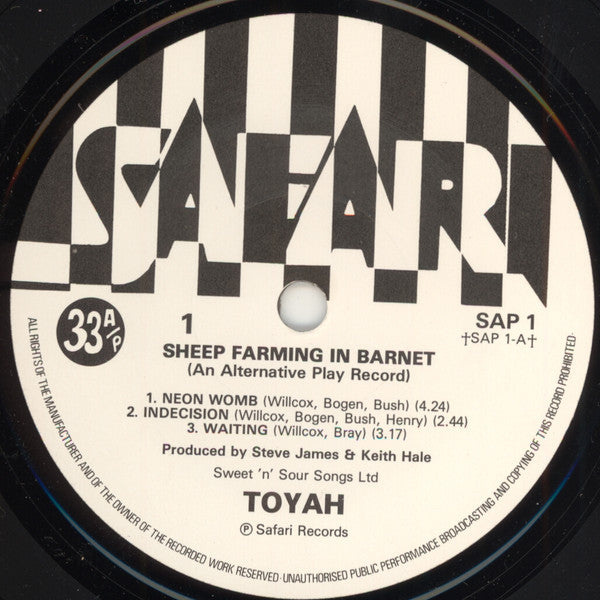 Toyah (3) - Sheep Farming In Barnet