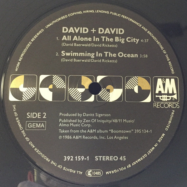 David + David - Swallowed By The Cracks