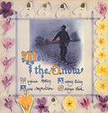 Virginia Astley - Melt The Snow
