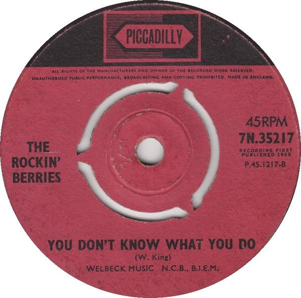 The Rockin' Berries - What In The World's Come Over You