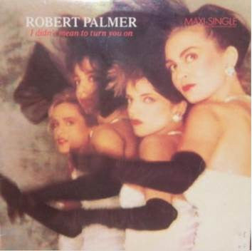 Robert Palmer - I Didn't Mean To Turn You On