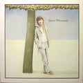 Steve Winwood - Steve Winwood