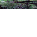 Pole - Waldgeschichten 3