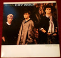 a-ha - Cry Wolf (Extended Version)