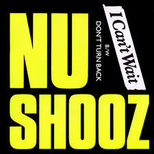 Nu Shooz - I Can't Wait