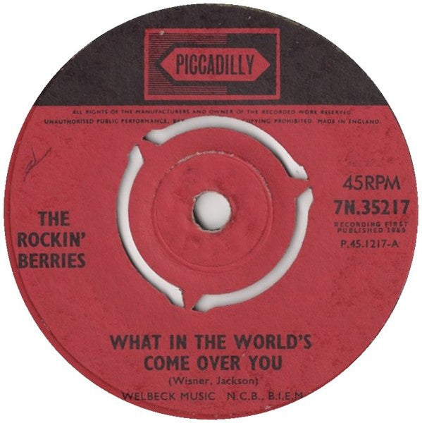 The Rockin' Berries - What In The World's Come Over You
