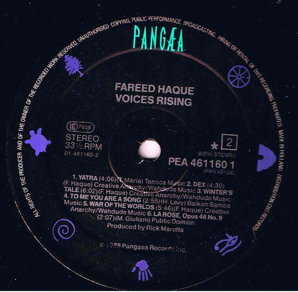 Fareed Haque - Voices Rising