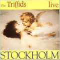 The Triffids - Stockholm - Live