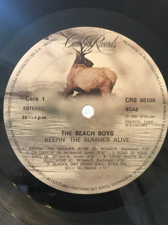 The Beach Boys - Keepin' The Summer Alive