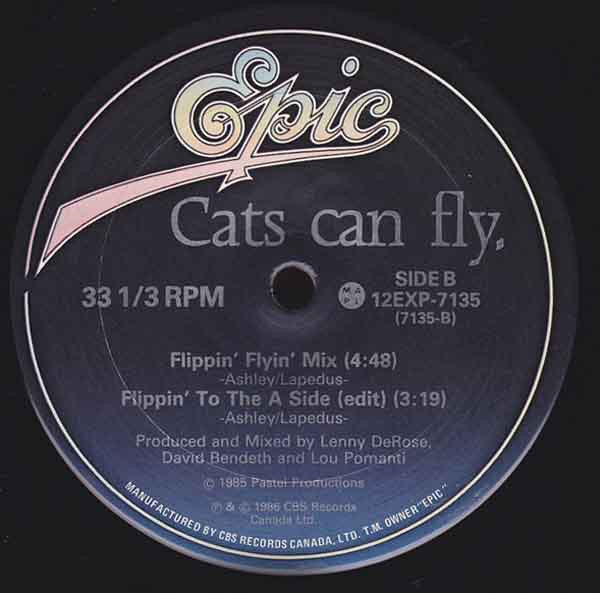 Cats Can Fly - Flippin' To The 'A' Side