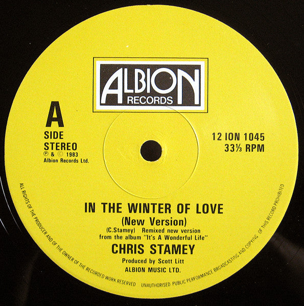 Chris Stamey - Winter Of Love