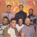 Raça Negra - Raça Negra Vol. 4