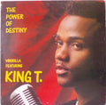 Viborilla Featuring King Tee - The Power Of Destiny