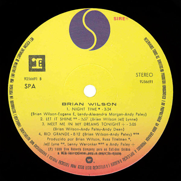 Brian Wilson - Brian Wilson