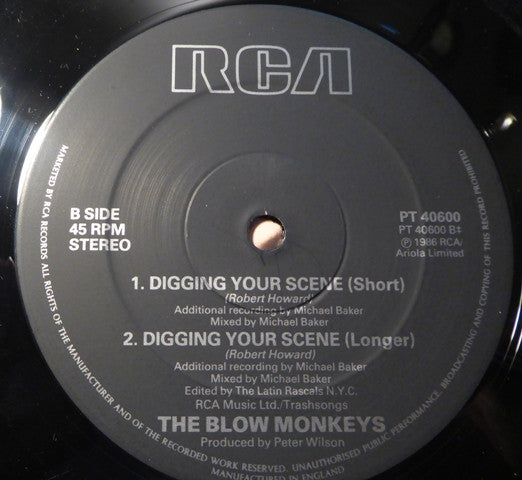 The Blow Monkeys - Digging Your Scene