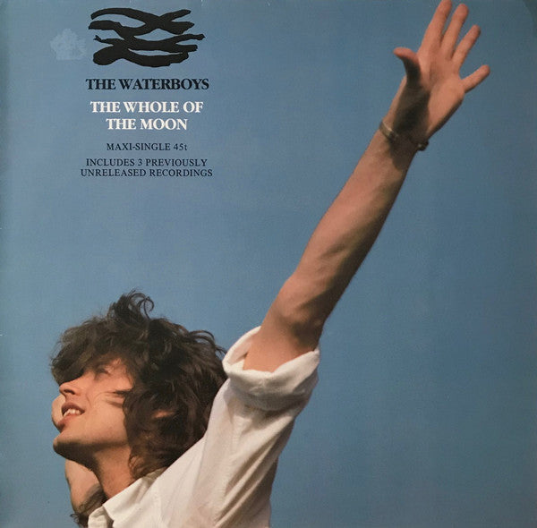 The Waterboys - The Whole Of The Moon