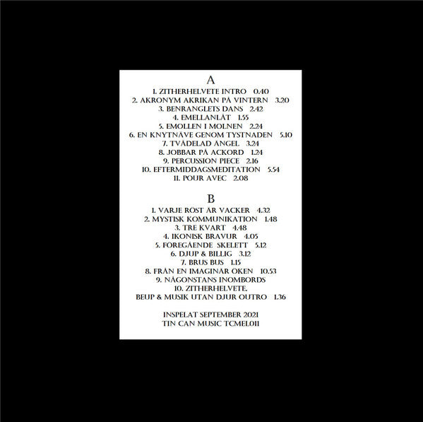 Etherwink & Larwott - En Knytnäve Genom Tystnaden