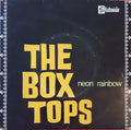Box Tops - Neon Rainbow