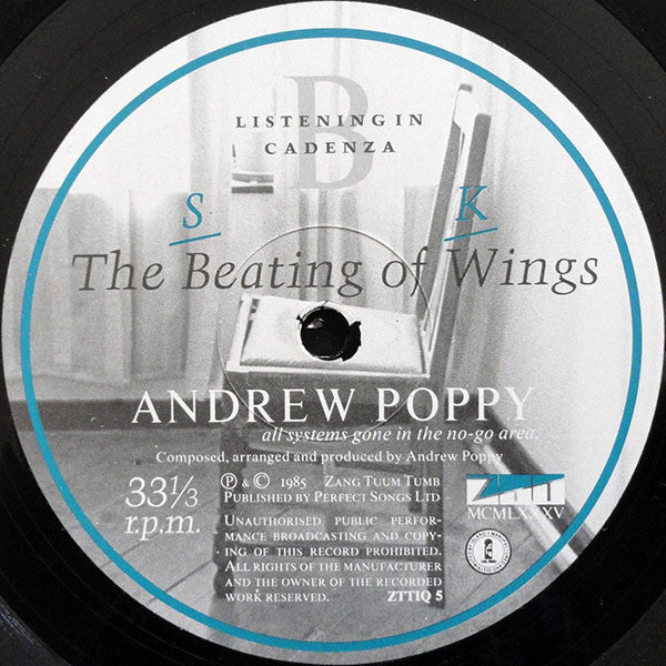 Andrew Poppy - The Beating Of Wings