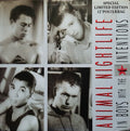 Animal Nightlife - Boys With The Best Intentions