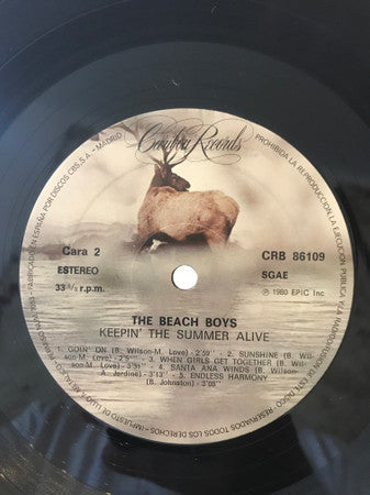 The Beach Boys - Keepin' The Summer Alive