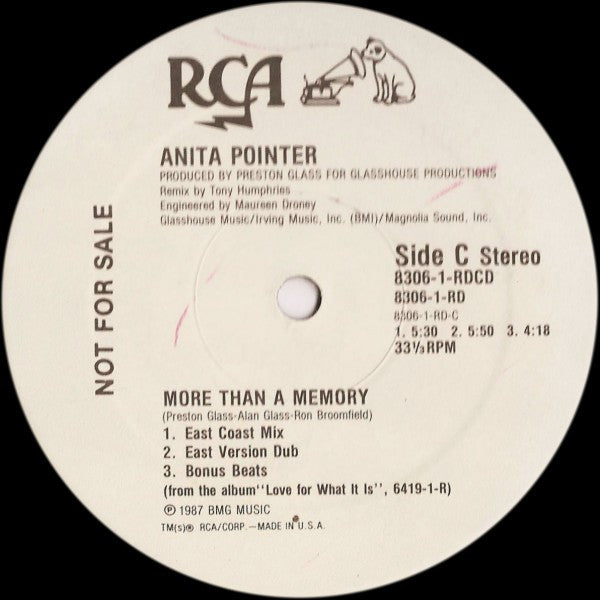 Anita Pointer - More Than A Memory
