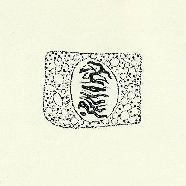 Coil - Porto