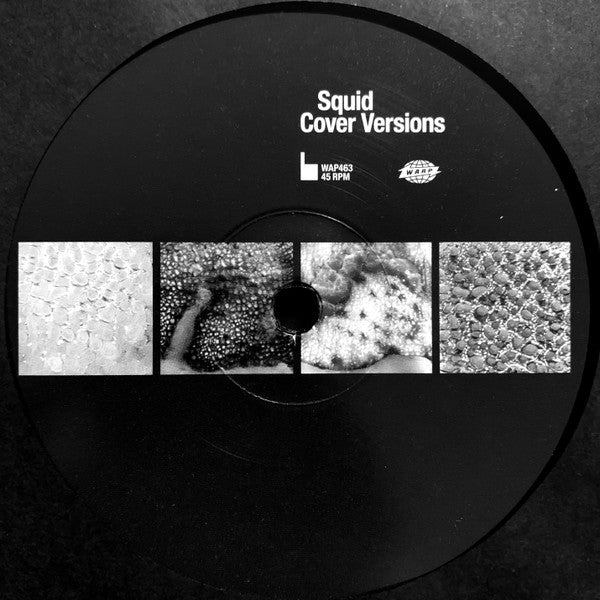 Squid (29) - Cover Versions