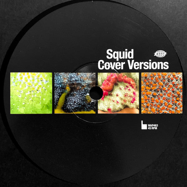 Squid (29) - Cover Versions