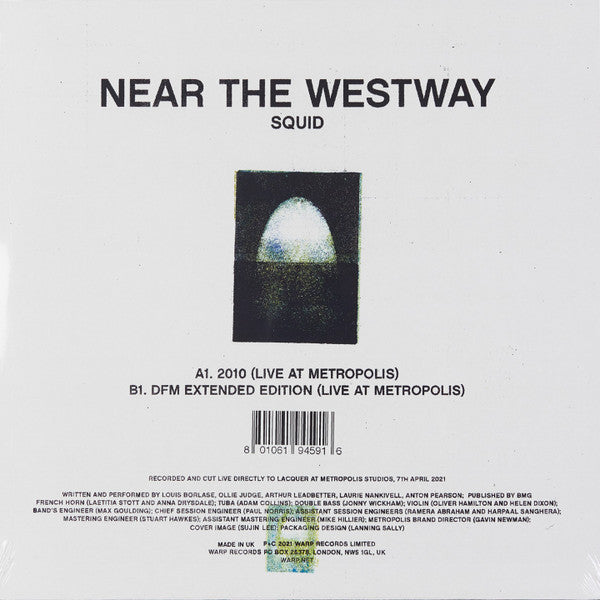 Squid (29) - Near The Westway