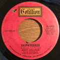 Jerry Williams Jr. - Shipwrecked / Sock It To Yourself