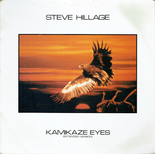 Steve Hillage - Kamikaze Eyes