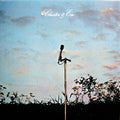 Cluster & Brian Eno - Cluster & Eno