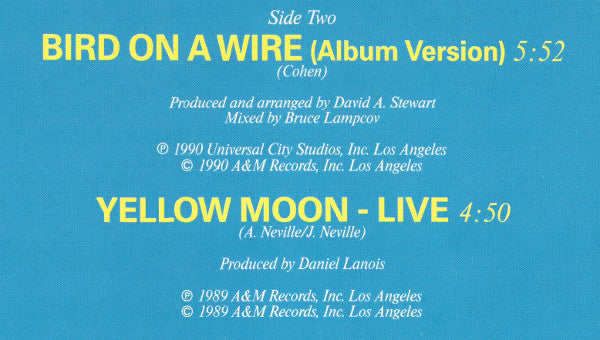 The Neville Brothers - Bird On A Wire