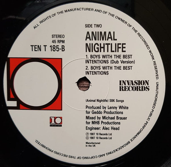 Animal Nightlife - Boys With The Best Intentions