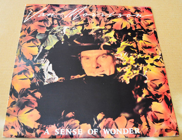 Van Morrison - A Sense Of Wonder