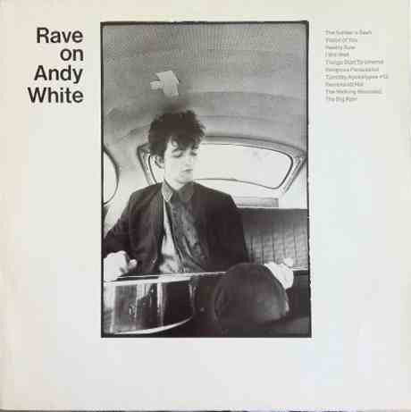Andy White (4) - Rave On Andy White