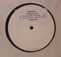 Skydiver (2) - Falling In Dub / Sound Of Perfection