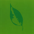 Rafael Toral - Cyclorama Lift 3