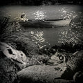 Walter Schumann - The Night Of The Hunter / The Blonde Witch