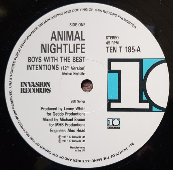 Animal Nightlife - Boys With The Best Intentions