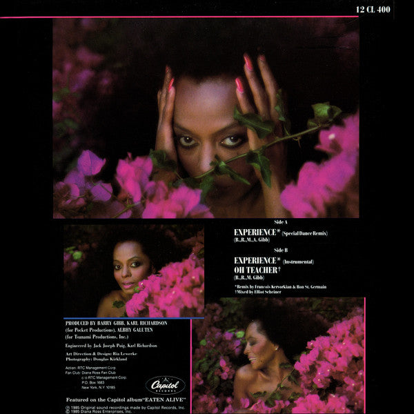Diana Ross - Experience