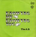 The A.B. - Knowing Me Knowing You / Money, Money, Money