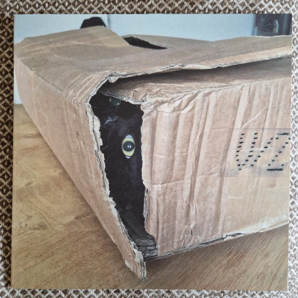 V/Z - Suono Assente