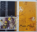 Maio Moço - Canto Maior