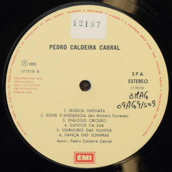 Pedro Caldeira Cabral - Pedro Caldeira Cabral