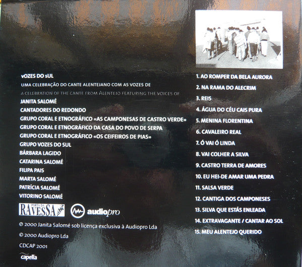 Vozes Do Sul - Vozes Do Sul
