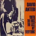 David Antebi - You're The First, The Last, My Everything