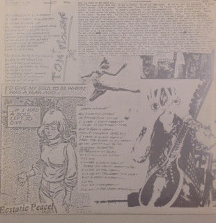 Sonic Youth - Evol